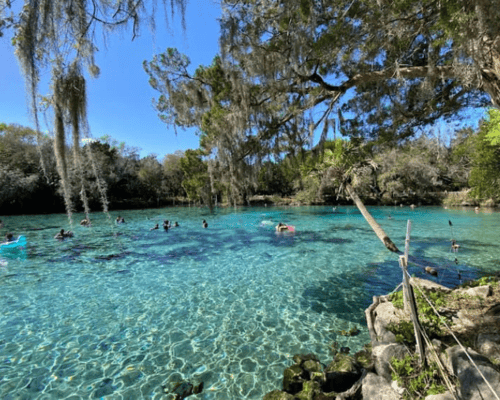 RV Parks With Boat Docks In Florida