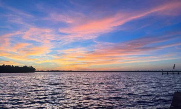port-cove-rv-resort-st-johns-river-fl-campground